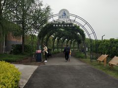 -季高兔窝窝亲子园(上海薰衣草公园店)