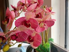 -楚禾宴·家宴(光谷大道店)