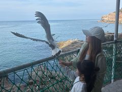 -摩天岭风景区