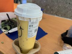 -雾与山茶(大禹城店)