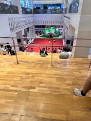 -卡通尼·Safari非洲探索乐园·生日会(金桥国际商业广场店)