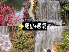 -飞来湖湿地公园