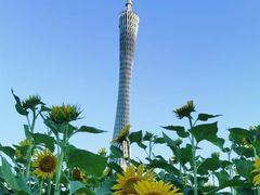 -花城苑广府菜(海心沙店)