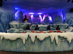 -帝企鹅自助餐厅•儿童岛•真企鹅(长隆企鹅酒店)