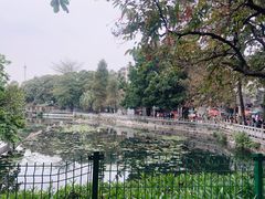 -荔湾湖公园