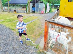 -前小桔亲子创意农场·草莓采摘·露营烧烤