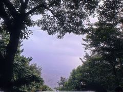 -惠山国家森林公园