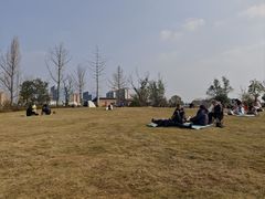 -两河城市森林公园