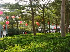 -欢乐海岸水秀剧场