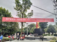 -张醪糟