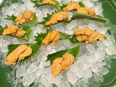 -月龍吟(朝龙汇店)
