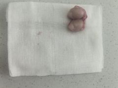 -心仪动物医院·牙专科·肿瘤·心脏科(西客站院)