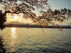 -浙江西子宾馆·瑶园咖啡厅