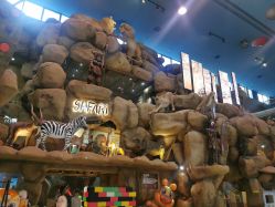 点击看大图 -卡通尼·Safari非洲探索乐园·生日会(金桥国际商业广场店)