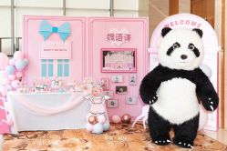 -觅糖派对·宝宝宴生日宴一站式派对策划(河西店)