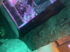 -沈阳海洋探索中心