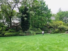 -杭州西子湖四季酒店-WL BISTRO西湖餐厅(灵隐路店)