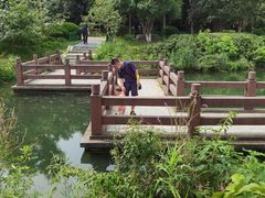 -金银湖国家城市湿地公园
