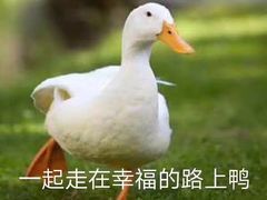-一蘭拉面(新宿中央东口店)