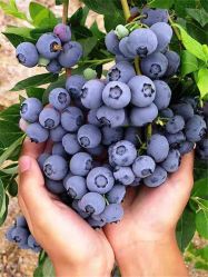 -Oasis Beauty水磨坊科技美肤中心