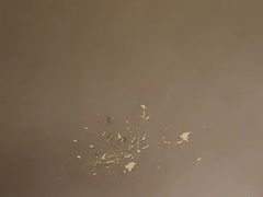 -廊坊固安福朋喜来登酒店