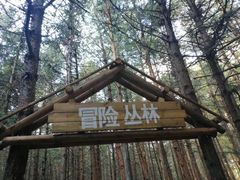 -重庆睡佛山森林公园