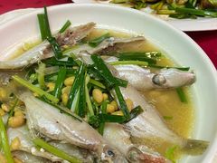 黄豆酱闷滑鱼-蛇口康乐快餐鱼仔档(翠苑小区店)