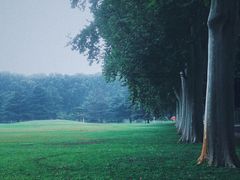 -河南省黄河迎宾馆
