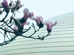 -东华门大街小区