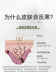 点击看大图 -玛莲朵·海菲秀冰珀科