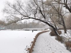 -长春市南湖公园