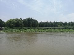 -微山湖红荷湿地景区