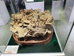 -中国第四纪冰川遗迹陈列馆