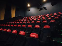 -AMG海上明珠影城(上海环球港RealDCinema店)