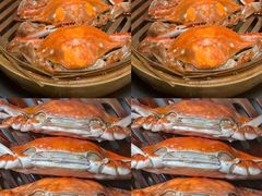 -万龙洲海鲜(南新仓店)