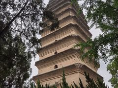 -西安博物院