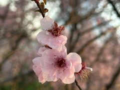-白塘生态植物园