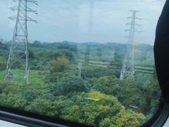 -风云岭森林公园