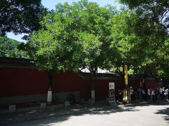 -华清宫景区