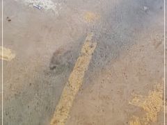 -八先生涮肉房(三里河店)