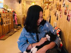 -名猫咖啡馆·撸猫·拼豆