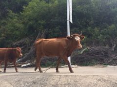 iphone_upload_pic-北京山里寒舍度假酒店