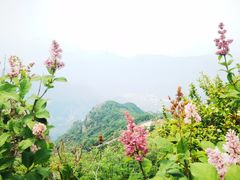 -白草畔自然风景区