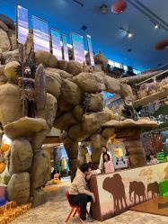 -卡通尼·Safari非洲探索乐园·生日会(金桥国际商业广场店)