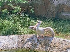 -杭州野生动物世界