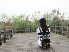 -白鹭湾湿地公园