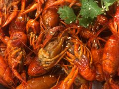 -海岛八号龙虾烧烤田鸡(蓝天路总店)