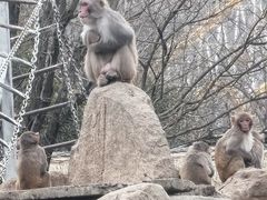 -西安秦岭野生动物园