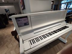 -雅歌音乐培训中心·钢琴培训·乐器培训(交道口店)