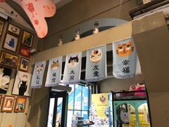 -猫咪博物馆(顶澳仔猫街店)